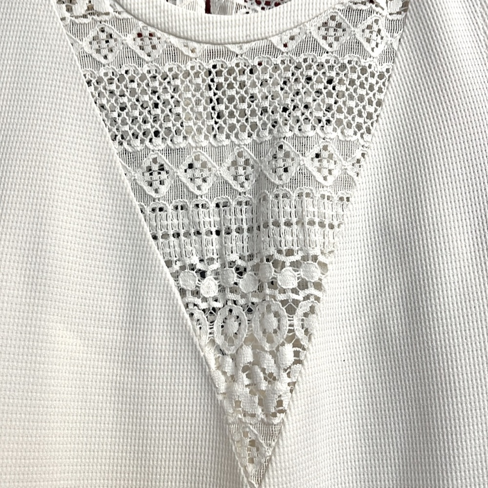 Rebecca Minkoff Ivory Lace Insert Sleeveless Dress - Picture 8 of 10
